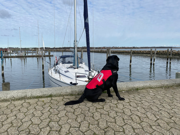 Hunde redningsvest 