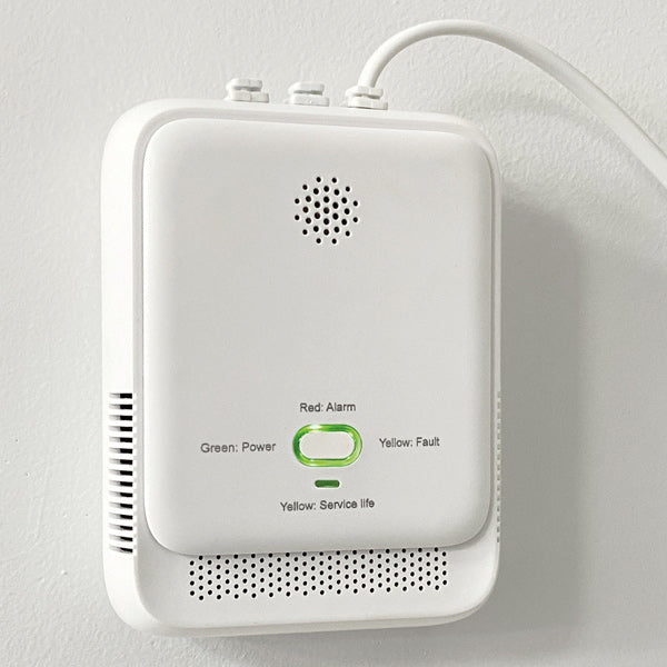 Indlæs billede i Gallery Viewer, 1852 Gasalarm
