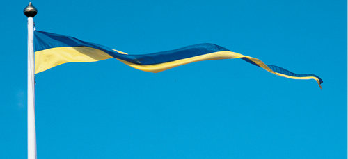 Indlæs billede i Gallery Viewer, Adela Vimpel Sverige 600X50X7Cm
