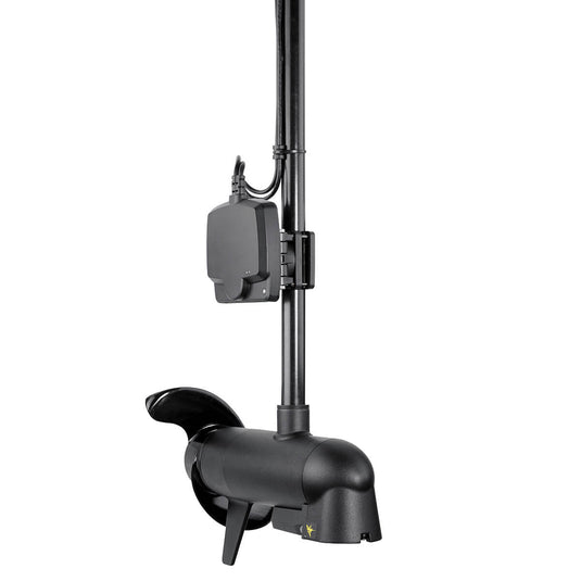 Mega Live Imaging