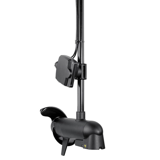 Mega Live Imaging
