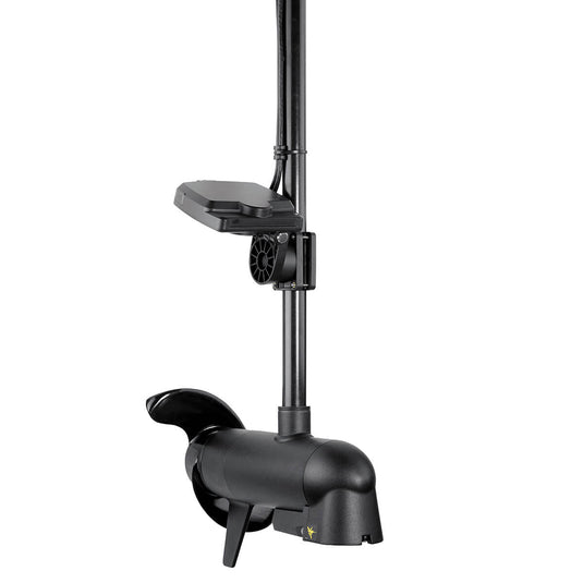 Mega Live Imaging