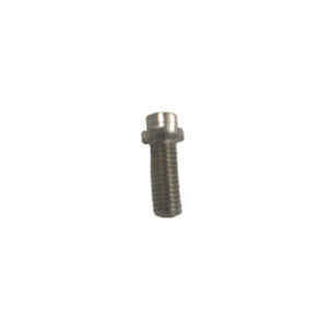 Sierra Stainless Steel Bolt