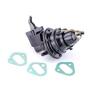 Sierra Fuel Pump