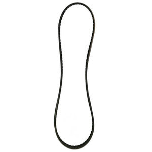 Sierra Serpentine Belt