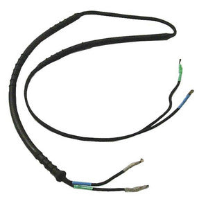 Sierra Electric Shift Cable