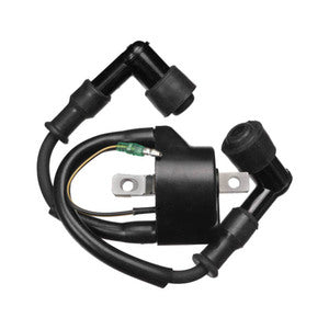Sierra Ignition Coil