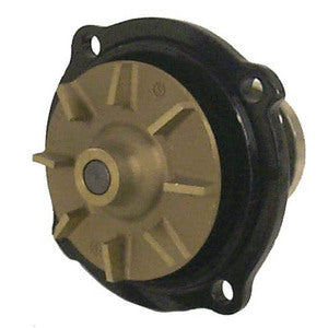 Sierra Circulating Water Pump