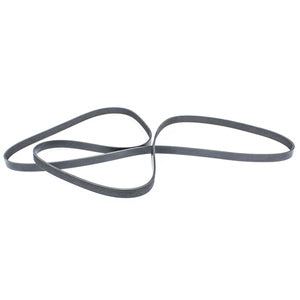 Sierra Serpentine Belt