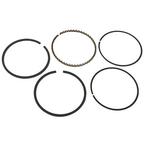 Sierra Piston Rings