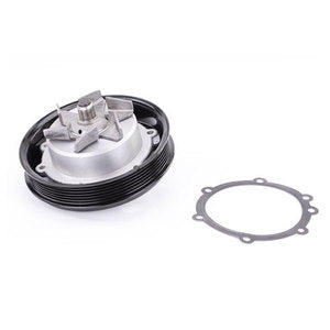 Sierra GM Circulation Pump