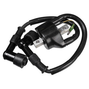 Sierra Ignition Coil