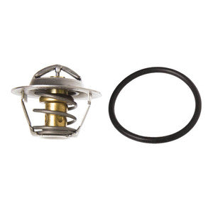 Sierra Thermostat - Raw Water