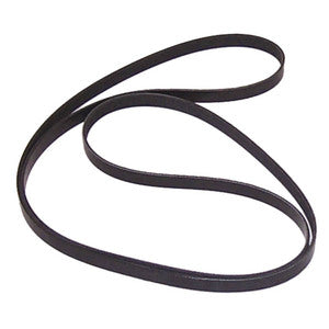 Sierra Serpentine Belt