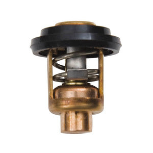 Sierra Thermostat (Seal Included)