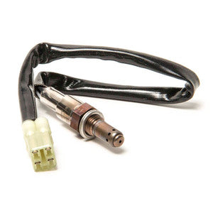 Sierra Oxygen Sensor