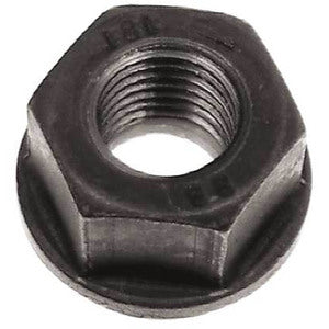 Sierra Nut