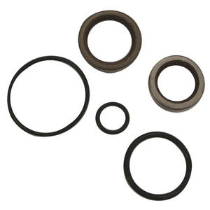 Sierra Crankshaft Seal Kit