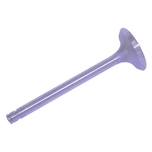 Sierra Intake Valve
