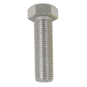 Sierra Bolt