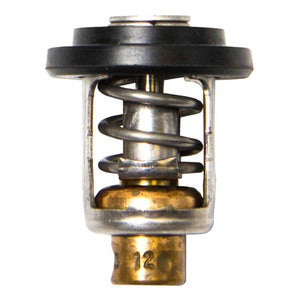 Sierra Thermostat