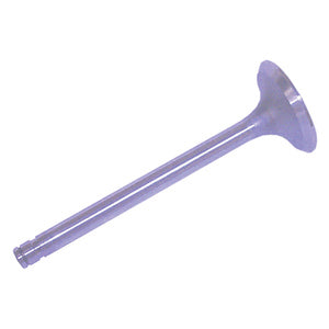 Sierra Intake Valve