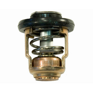 Sierra Thermostat Yamaha 60 gr.