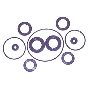 Sierra Lower Unit Seal Kit